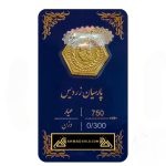 سکه پارسیان 300 سوت